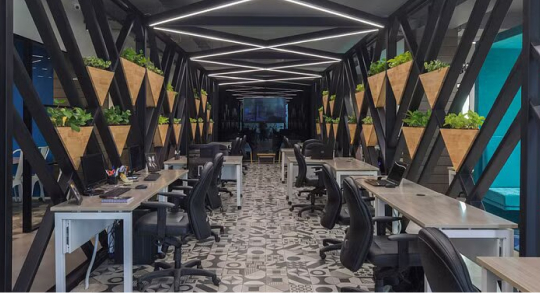 A modern office featuring greenery, with plants adorning the walls, reflecting current trends in workspace design.