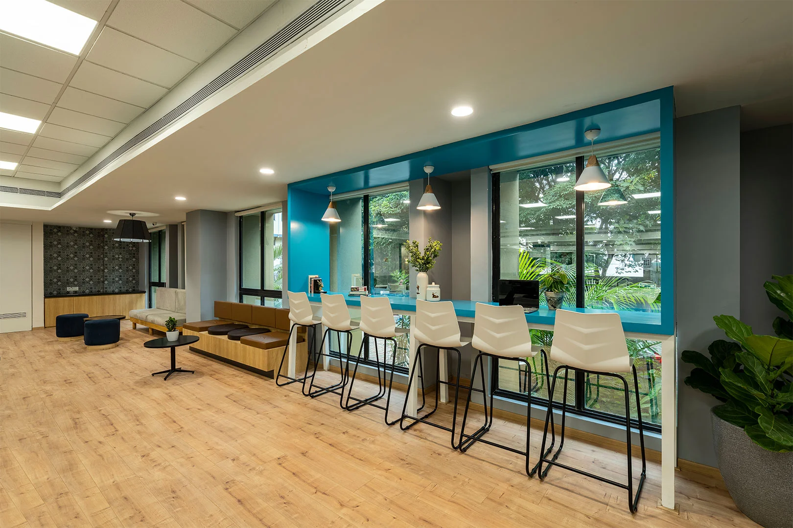 An office featuring a blue counter complemented by elegant wooden floors, creating a modern and inviting atmosphere.
